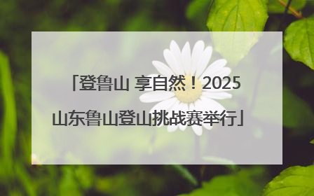登鲁山 享自然！2025山东鲁山登山挑战赛举行