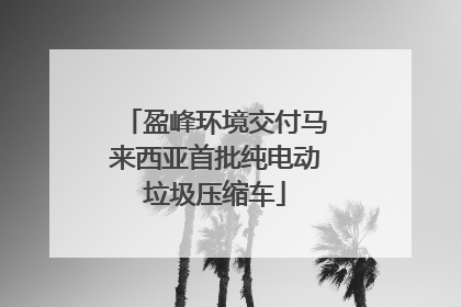 盈峰环境交付马来西亚首批纯电动垃圾压缩车