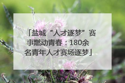 盐城“人才逐梦”赛事燃动青春：180余名青年人才赛场逐梦
