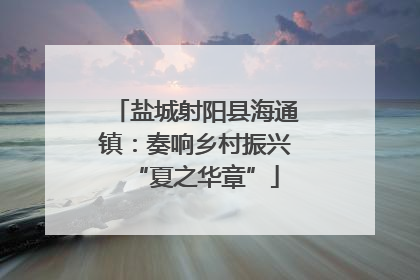 盐城射阳县海通镇：奏响乡村振兴“夏之华章”
