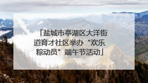 盐城市亭湖区大洋街道育才社区举办“欢乐粽动员”端午节活动