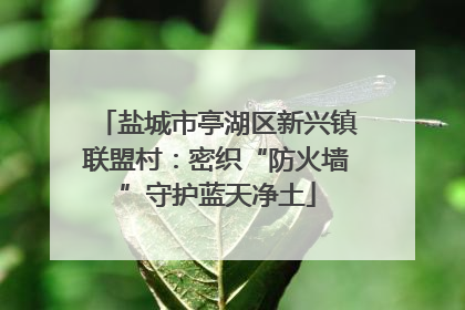 盐城市亭湖区新兴镇联盟村：密织“防火墙”守护蓝天净土