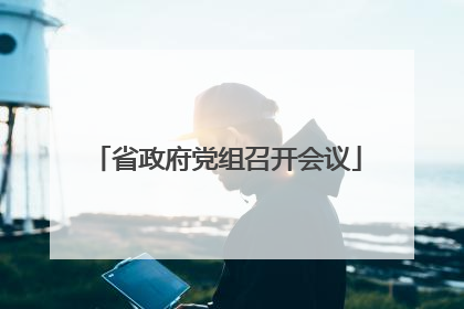 省政府党组召开会议
