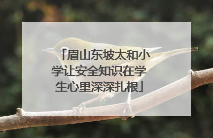 眉山东坡太和小学让安全知识在学生心里深深扎根