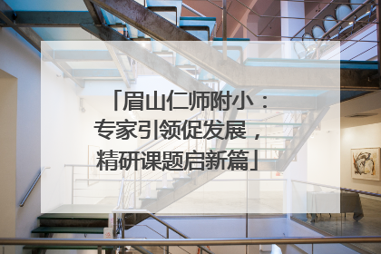 眉山仁师附小：专家引领促发展，精研课题启新篇