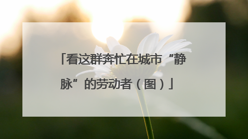 看这群奔忙在城市“静脉”的劳动者（图）