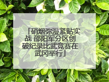 硝烟弥漫紧贴实战 邵阳军分区创破纪录比武竞赛在武冈举行