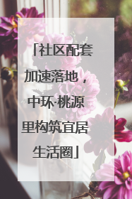 社区配套加速落地，中环·桃源里构筑宜居生活圈
