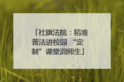 社旗法院：精准普法进校园 “定制”课堂润师生