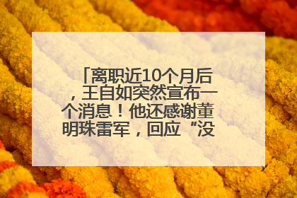 离职近10个月后，王自如突然宣布一个消息！他还感谢董明珠雷军，回应“没看过格力工资条”：真的不那么重要！