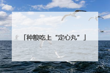 种粮吃上“定心丸”