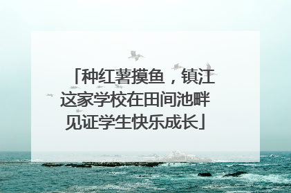 种红薯摸鱼，镇江这家学校在田间池畔见证学生快乐成长