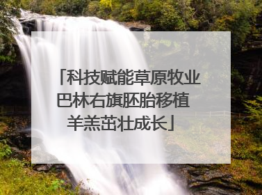 科技赋能草原牧业 巴林右旗胚胎移植羊羔茁壮成长