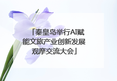 秦皇岛举行AI赋能文旅产业创新发展观摩交流大会