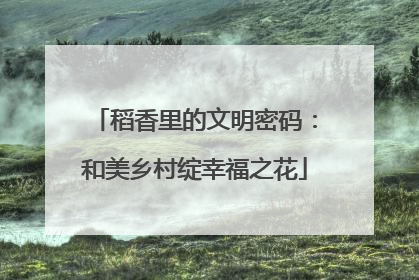 稻香里的文明密码：和美乡村绽幸福之花