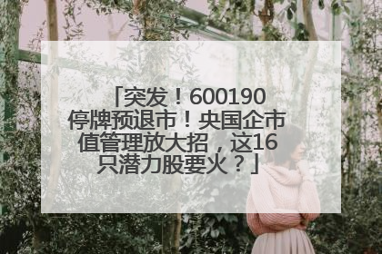 突发！600190停牌预退市！央国企市值管理放大招，这16只潜力股要火？
