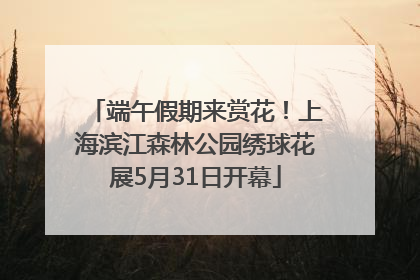 端午假期来赏花！上海滨江森林公园绣球花展5月31日开幕