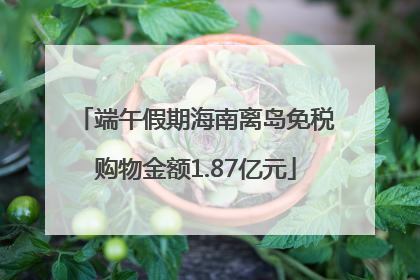 端午假期海南离岛免税购物金额1.87亿元