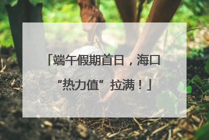 端午假期首日，海口“热力值”拉满！