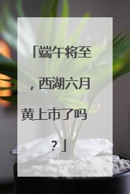 端午将至，西湖六月黄上市了吗？