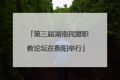 第三届湖南民盟职教论坛在衡阳举行