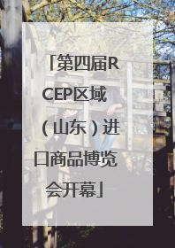 第四届RCEP区域（山东）进口商品博览会开幕