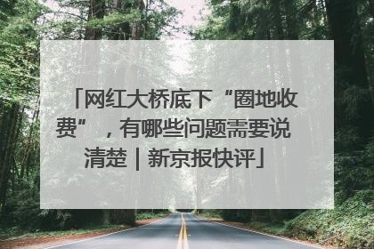 网红大桥底下“圈地收费”，有哪些问题需要说清楚｜新京报快评