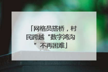 网格员搭桥，村民跨越“数字鸿沟”不再困难