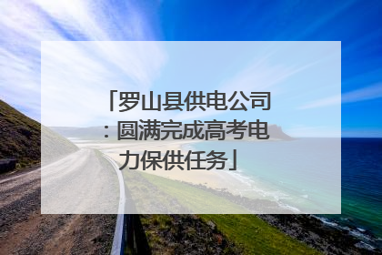 罗山县供电公司：圆满完成高考电力保供任务