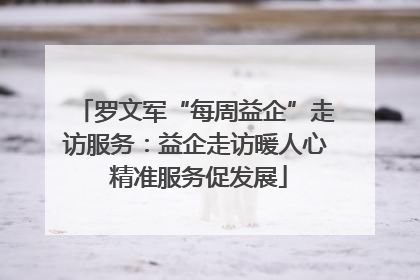 罗文军“每周益企”走访服务：益企走访暖人心 精准服务促发展