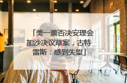 美一票否决安理会加沙决议草案，古特雷斯：感到失望