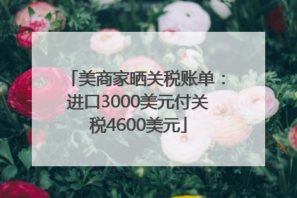 美商家晒关税账单：进口3000美元付关税4600美元