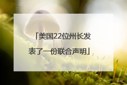 美国22位州长发表了一份联合声明