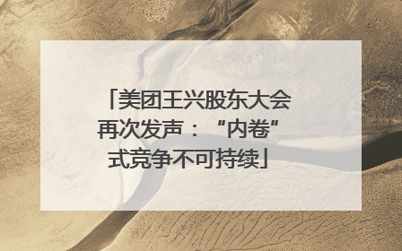美团王兴股东大会再次发声：“内卷”式竞争不可持续