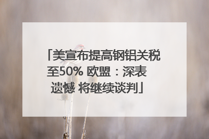 美宣布提高钢铝关税至50% 欧盟：深表遗憾 将继续谈判