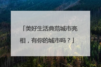 美好生活典范城市亮相，有你的城市吗？