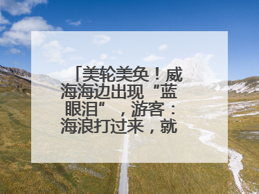 美轮美奂！威海海边出现“蓝眼泪”，游客：海浪打过来，就像星河一样