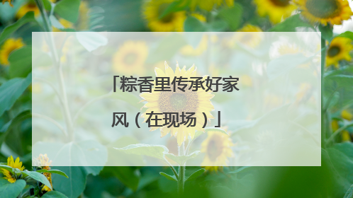 粽香里传承好家风（在现场）