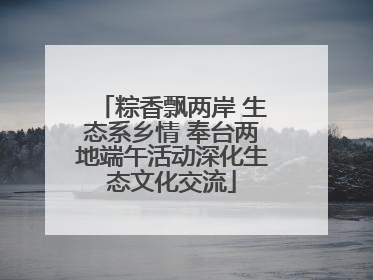 粽香飘两岸 生态系乡情 奉台两地端午活动深化生态文化交流