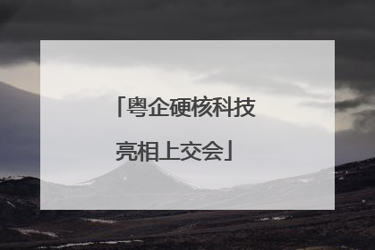 粤企硬核科技亮相上交会