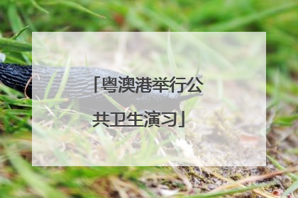 粤澳港举行公共卫生演习