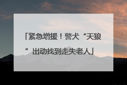 紧急增援！警犬“天狼”出动找到走失老人