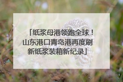 纸浆母港领跑全球！山东港口青岛港再度刷新纸浆装箱新纪录