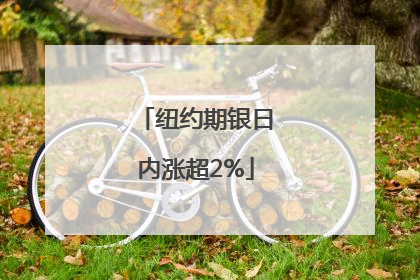 纽约期银日内涨超2%