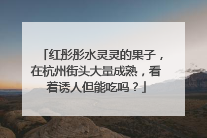 红彤彤水灵灵的果子，在杭州街头大量成熟，看着诱人但能吃吗？