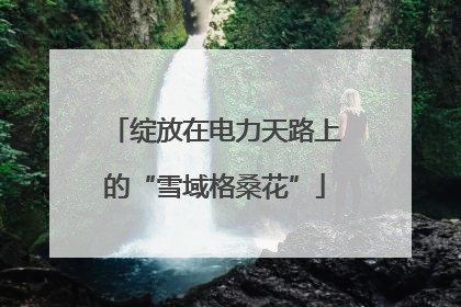 绽放在电力天路上的“雪域格桑花”