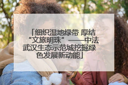 细织湿地绿带 厚结“文旅明珠”——中法武汉生态示范城挖掘绿色发展新动能