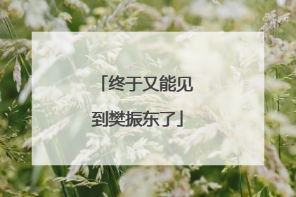 终于又能见到樊振东了