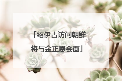 绍伊古访问朝鲜 将与金正恩会面
