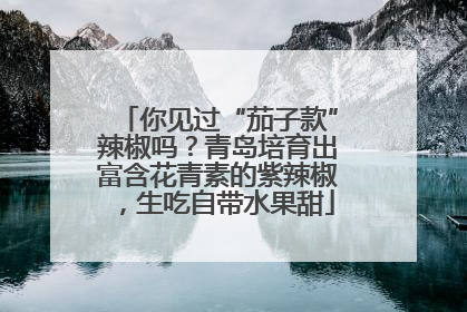 你见过“茄子款”辣椒吗？青岛培育出富含花青素的紫辣椒，生吃自带水果甜